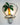 Palm Island Night Light