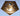 Small 5-Sided Stamped Brass Vase Cap with Flange