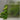 Clear 1/8" Narrow Reeded Glass