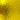 Wissmach Yellow Corella Classic
