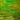 Wissmach Green/Amber/White Mystic Wispy