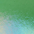 Bullseye Light Green Transparent Iridized 90COE
