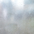 Spectrum Clear Satin Seedy 96COE