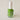 Apple Lime Opaque Color Magic