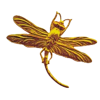Brass Dragonfly Curved Tail