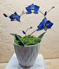 3D Orchid Workshop Saturday 11/22/25 from Noon to 4PM
