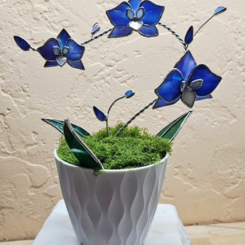 3D Orchid Workshop Saturday 11/22/25 from Noon to 4PM