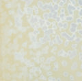 Bullseye Lemon Yellow/White Mottle