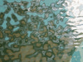 Bullseye Patina Green Mottle