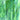 Bullseye Celery/Olive Green Mottle
