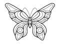 Butterfly Bevel Cluster 23 Pcs