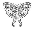 Butterfly Bevel Cluster 33 Pcs