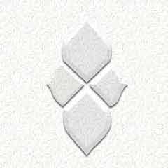 Bevel Cluster