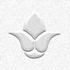 Bevel Cluster