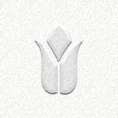 Bevel Cluster
