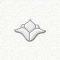 Bevel Cluster