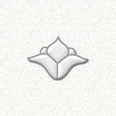 Bevel Cluster