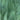 Bullseye Mint Opal/Deep Forest Green Transparent 90COE
