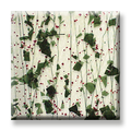 Bullseye Holly Berry 90 COE