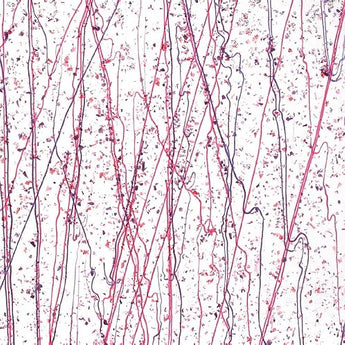 Bullseye Cran/Purple Frit/Streamer Fusible
