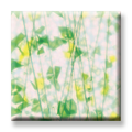 Bullseye Summer Confetti Opal 90COE