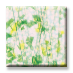Bullseye Summer Confetti Opal 90COE