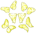 Butterfly Wing Filigree-5 Pairs