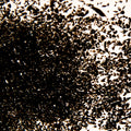 Oceanside Black Medium Frit 96 COE (8.5 oz)