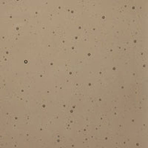 Bullseye Fusible Oregon Grey 90COE