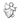 Angel Cynthia Bevel Cluster