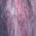 Neo Mix/Pink/Purple