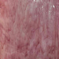 CHG Rich Coral Pink/White