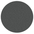 Diamond Tech Max 10 Magnetic 100 Grit Diamond Disk