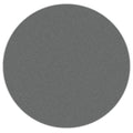 Diamond Tech Max 10 Magnetic 270 Grit Diamond Disk