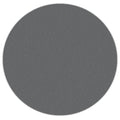Diamond Tech Max 10 Magnetic 325 Grit Diamond Disk