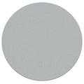 Diamond Tech Max 10 Magnetic Polishing Pad