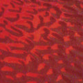 Wissmach English Muffle Royalty Red