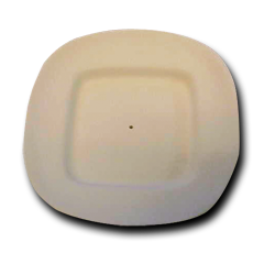 Round Dish with Square Center Mold