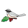 Free Pattern, Chickadee