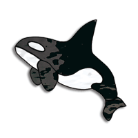 Free Pattern, Fused Orca