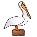 Free Pattern, Mister Pelican