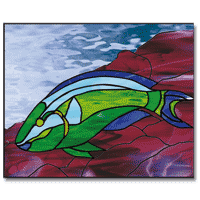 Free Pattern, Spotlight Parrotfish