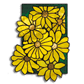 Free Pattern, Flower Power