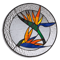Free Pattern, Bird Of Paradise