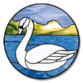 Free Pattern, Mute Swan
