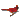 Free Pattern, Cardinal