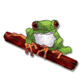 Free Pattern, Red-Eyed Tree Frog