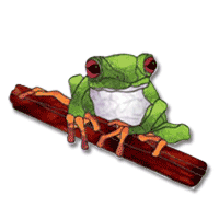 Free Pattern, Red-Eyed Tree Frog