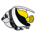 Free Pattern, Banner Fish