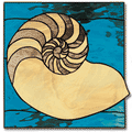 Free Pattern, Nautilus Shell